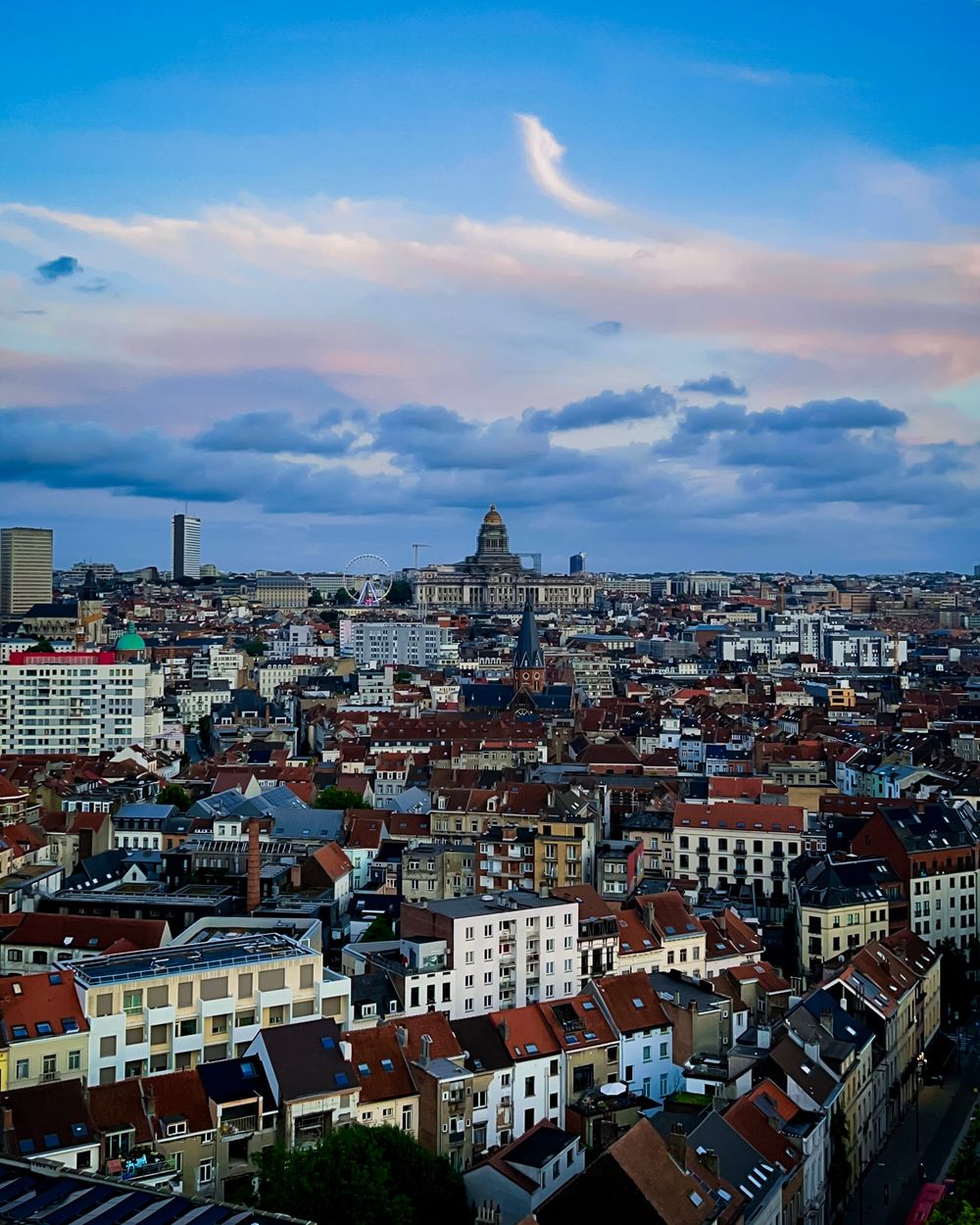 Uitzicht over de daken van Brussel
